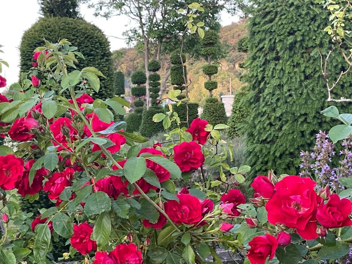 Les Jardins Haute Couture Huismes Exterior foto